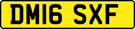 DM16SXF