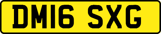 DM16SXG