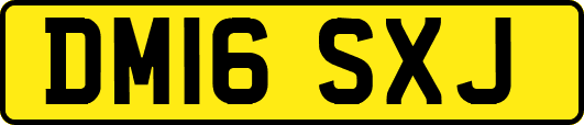 DM16SXJ