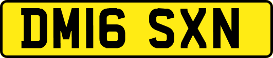 DM16SXN