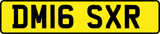 DM16SXR