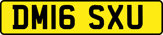 DM16SXU