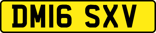 DM16SXV