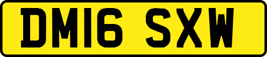 DM16SXW