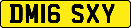 DM16SXY
