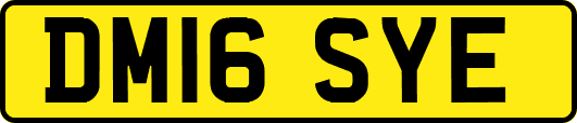 DM16SYE