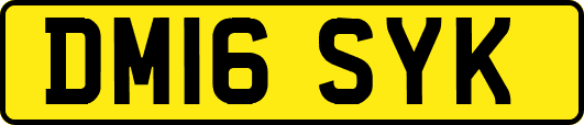 DM16SYK