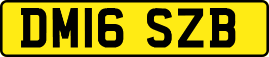 DM16SZB