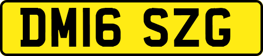DM16SZG