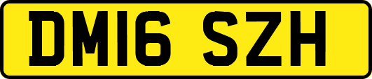 DM16SZH