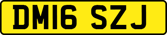 DM16SZJ