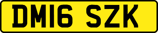 DM16SZK