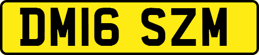 DM16SZM