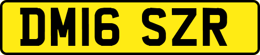 DM16SZR