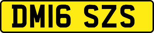 DM16SZS