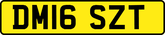 DM16SZT