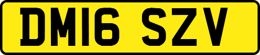 DM16SZV
