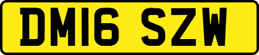 DM16SZW