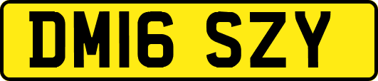 DM16SZY