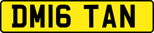 DM16TAN