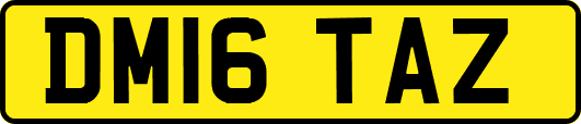 DM16TAZ