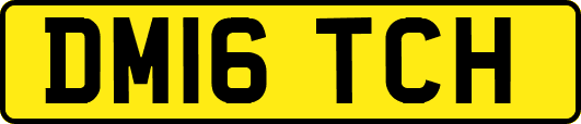 DM16TCH