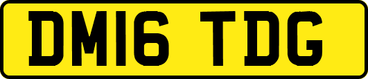 DM16TDG