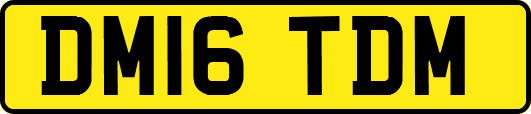 DM16TDM