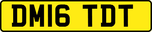 DM16TDT