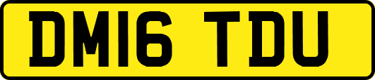 DM16TDU
