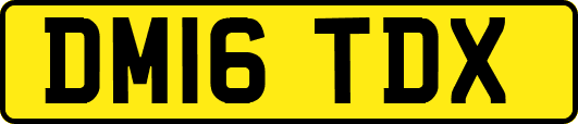 DM16TDX