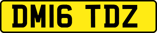 DM16TDZ