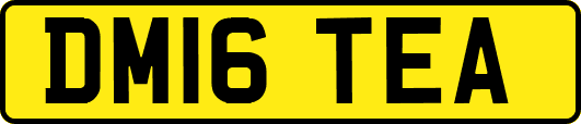 DM16TEA