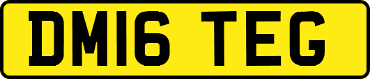 DM16TEG