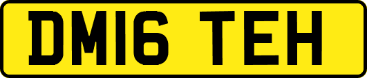DM16TEH