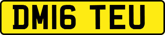 DM16TEU