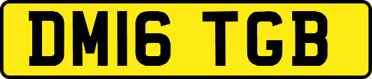 DM16TGB