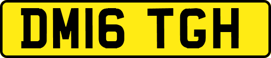 DM16TGH