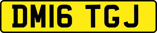 DM16TGJ