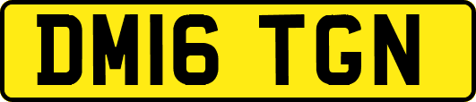 DM16TGN