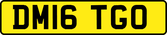 DM16TGO