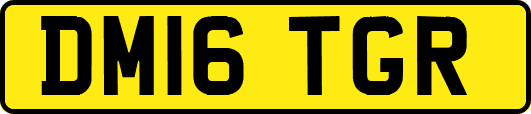 DM16TGR