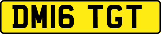 DM16TGT