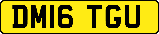 DM16TGU