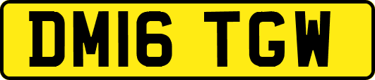 DM16TGW