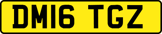 DM16TGZ