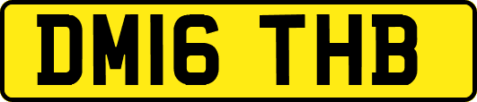 DM16THB