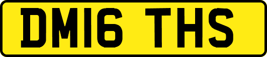 DM16THS