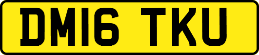 DM16TKU