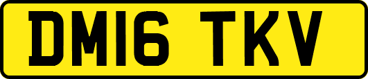 DM16TKV